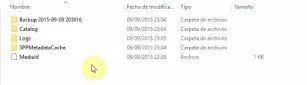 ficheros copia seguridad